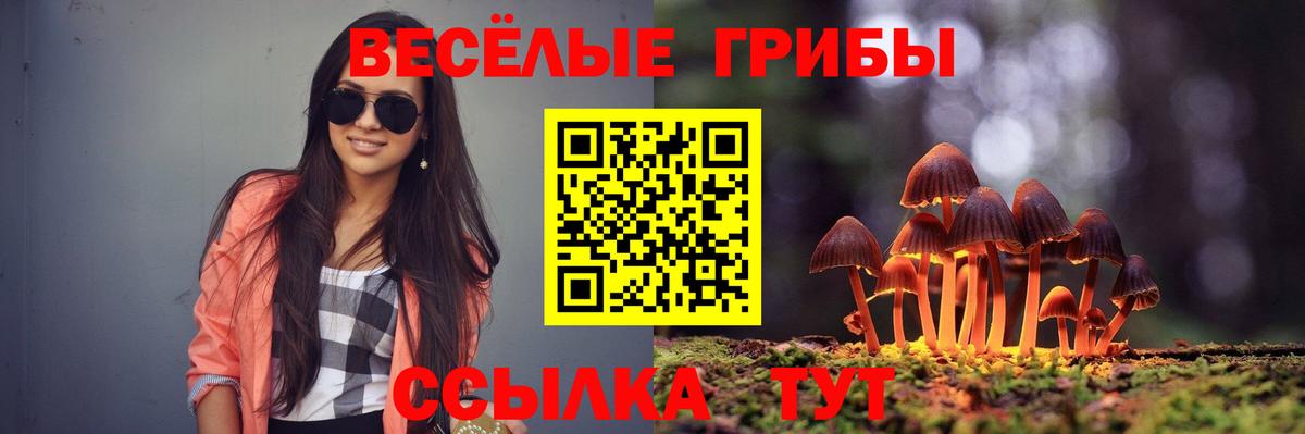 Псилоцибиновые грибы мухоморы Тосно